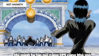 Top 7 Trái Ác Quỷ CIA Phải Thèm Nếu Nó Có Thật #9 5