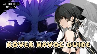 Rover Akhirnya Bisa Jadi DPS Dengan Havoc Build! | Wuthering Waves