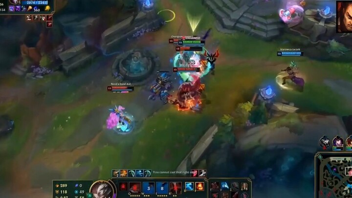 Darius -  Sao lại có quá nhiều  “gà” đến vậy.