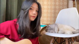 "Red Rose" - Eason CHAN | Cover with Guitar