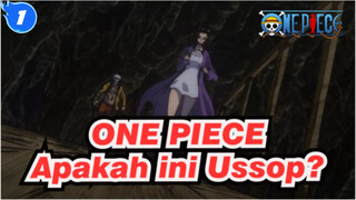 ONE PIECE| Apakah iniUssop?Yang Super？_1