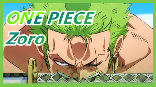 ONE PIECE|[Zoro]I saw ONE PIECE for this man!