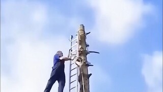 伐木工为什么是最危险的工作？