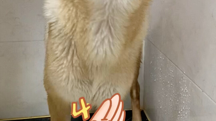 Another handsome guy after a shower!