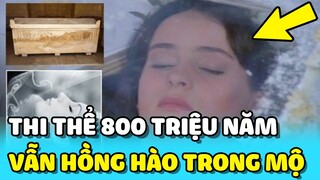 💥Công nhân ĐÀO MỎ phát hiện thi thể 800 TRIỆU NĂM vẫn HỒNG HÀO | TIN GIẢI TRÍ