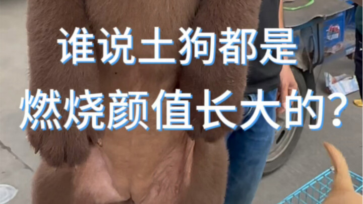 التغيير في شهر واحد كبير حقًا