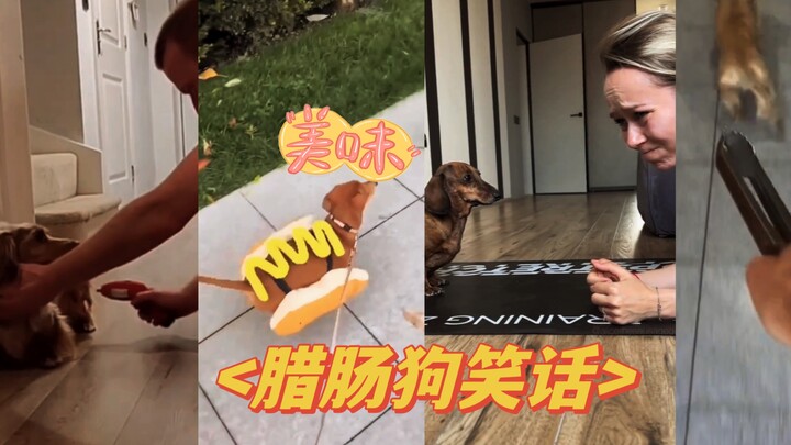 “Beberapa lelucon sosis anjing yang nggak sopan ()”