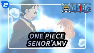 Tôi Chỉ Muốn Nhìn Thấy Bạn Cười Thêm Một Lần Nữa | One Piece Senor AMV_2