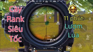 PUBG Mobile | Cày Rank & KDA Siêu Tốc Tại LiVik - 11 Phút Là Lượm Lúa | NhâmHNTV