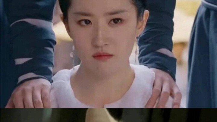 Cat Liu Yifei