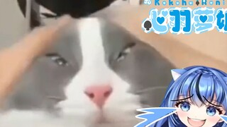 【心羽萝妮】日本水精灵看《这一笑，功德全笑没了》