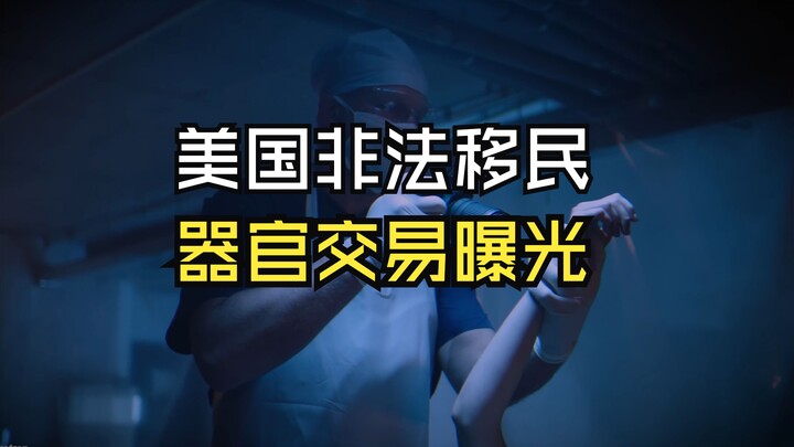 كشف الستار عن سلسلة الصناعة السوداء لتجارة الأعضاء البشرية المرتبطة بالمهاجرين غير الشرعيين والمشردي