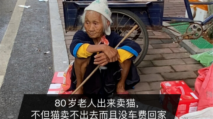 คุณตาอายุ 80 ปีออกมาตั้งแผงขายแมว แต่พอเห็นคนอื่นๆ เก็บของกลับบ้านกันหมดแล้ว ตัวเองยังขายแมวไม่ได้สั