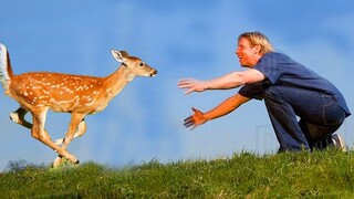 Most Heartwarming Animal Reunions with Owners Caught On Camera