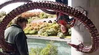 前两位蜘蛛侠要是有这样的装备科技，原地起飞。