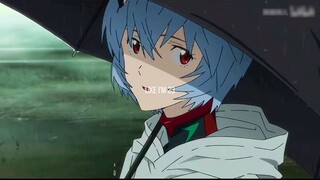 EVA/Ayanami Rei】"Bertaruh Pada Saya"