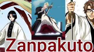 Zanpakuto Dan Macam Macamnya