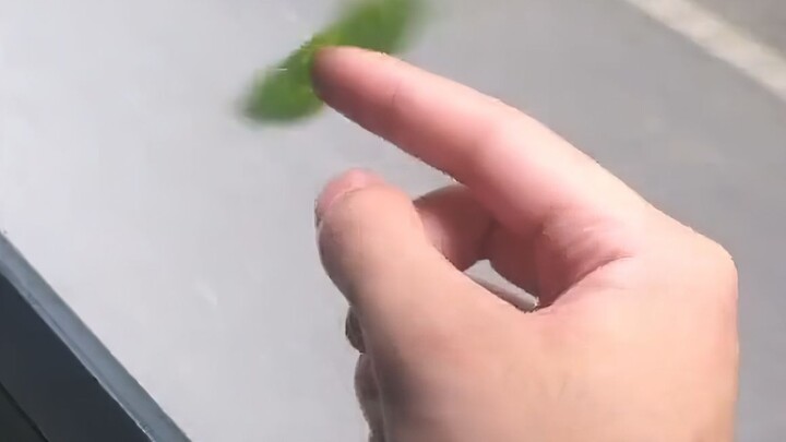 Angin itu bebas, semoga kamu juga begitu!