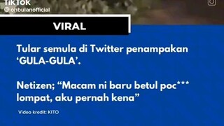 Pertama Kali Aku Tengok Poc*ng Sebenar