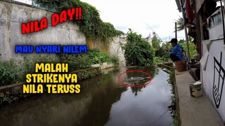 BEGINI NIH... KALAU LAGI HARINYA IKAN NILA || STRIKENYA NILA TERUSS!!