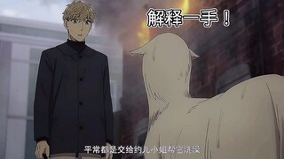 好家伙，佛杰这波属实是劝服自己失败了！ #间谍过家家第二季