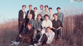 【SVT_ZER·0】201224 SEVENTEEN BAZAAR Korea 13人接力记者采访 零站中字