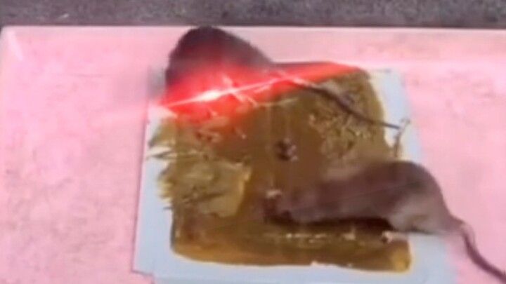 这不比花几百万打广告 “好使” ？ ？ ？