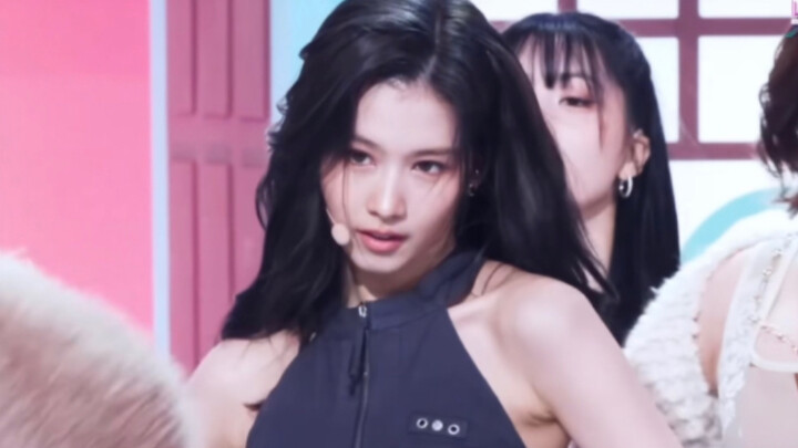 Tsukasaki Sana | Lịch sử tiến hóa của chú chó Shiba Inu – “thánh câu like” K‑pop không dùng tiền đồn
