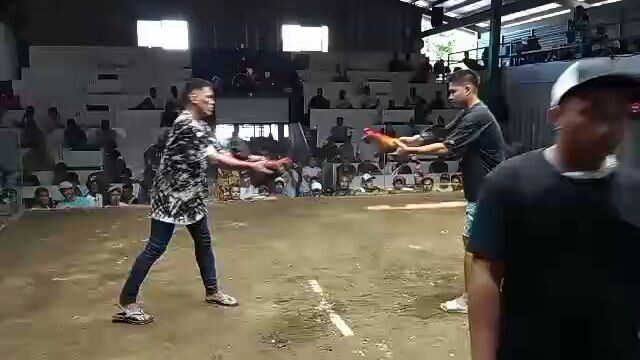 buyers update HEME's Black hennie 2x win