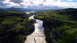 HAUSER - Tennessee Pearl Harbor