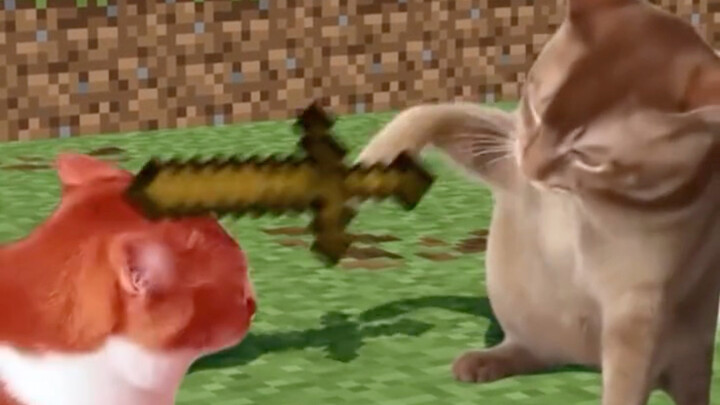 Kucing Kecil di Minecraft