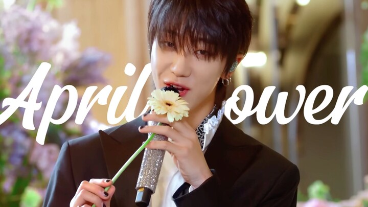 [4K Bilingual] April Shower · Wedding Hall Version - “After April’s showers pour down, flowers bloom