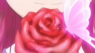 [Flower God Flora] Drive to a red rose, a pink butterfly