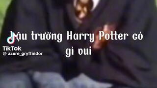 Hậu trường Harry Potter có gì zui
