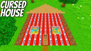 Who lives in the UNDERGROUND HOUSE in the CURSED VILLAGE  in Minecraft ? I found the SECRET HOUSE !