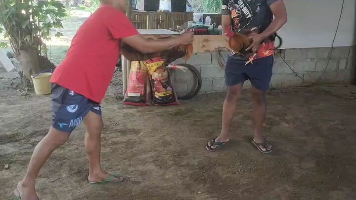 pang 3hits sa manaoag cockpit arena