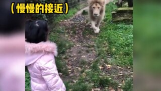 Menurutku kaca ini juga nggak perlu dibersihin sampai sebersih itu...