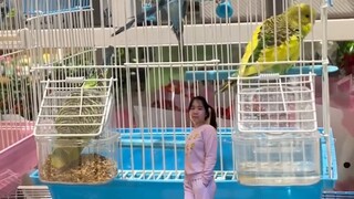 When a little person goes shopping with you in the supermarket