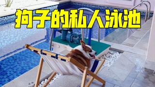 Bringing my dog to stay in a private villa with a pool in Hainan—so satisfying!!!