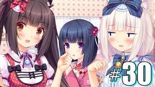 THE GIRLS "OVERWORK" CASHEW - Ep 30 - Nekopara (Full Game)