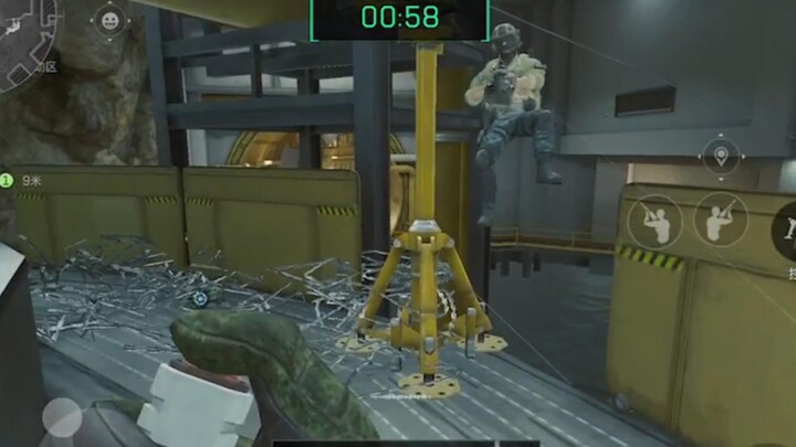 Niat baik di gerbang ekstrem malah dimakan anjing