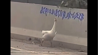 那些令人不敢相信的事