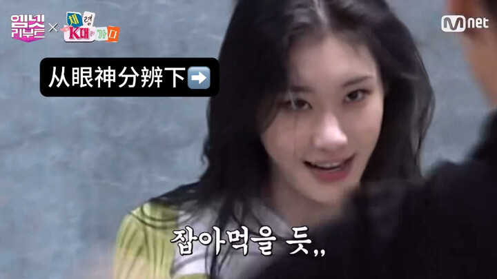 【ITZY Lee Chae-ryeong】Cậu bảo là cô ấy ổn thì sao còn chọc cô ấy làm gì... Giáo sư Chae-ryeong đúng 