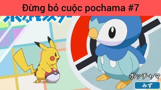 Đừng bỏ cuộc pochama p7