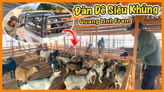 Quanglinhvlogs || Thanh Toán Lương Cho Đội Công Trình Trường Học và Bổ Sung Những Chú Dễ Chất Lượng