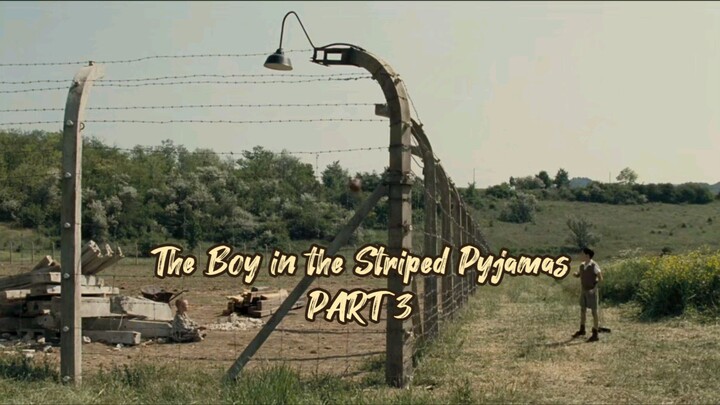 Review Movie - The Boy in the Striped Pyjamas 03