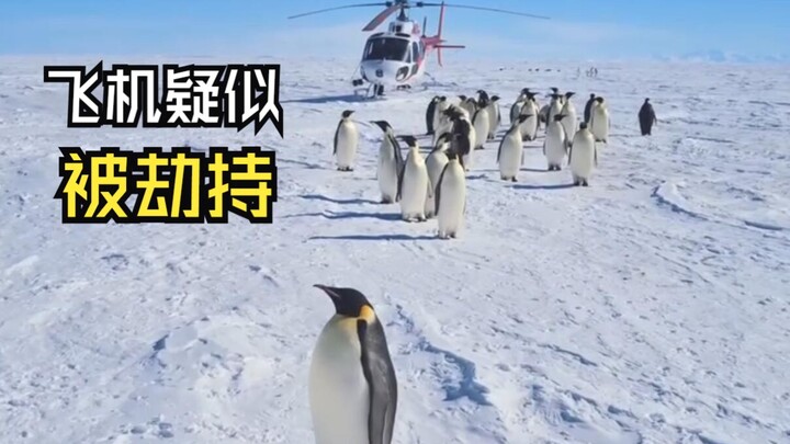 Videos of animals encountering humans!