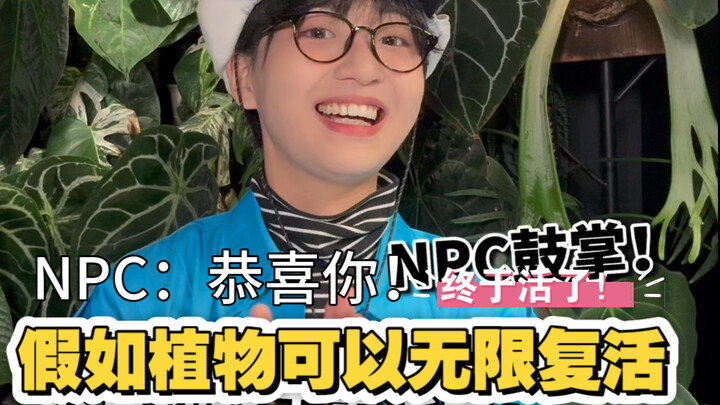 怎么刚到家就蔫了？还没开始养…就结束啦？！（这是一条不正经的新手饲养花烛“指南”）能活就行！