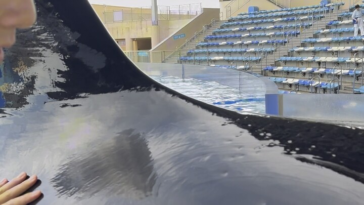 Panghu High-Speed Train Daily Maintenance