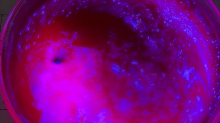 มองดาวกับคุณ